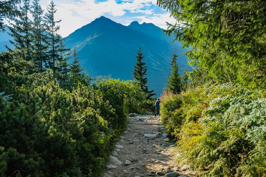 mountain hiking trail
